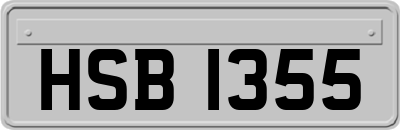 HSB1355