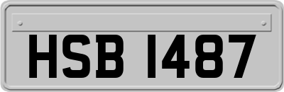 HSB1487