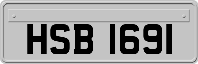 HSB1691