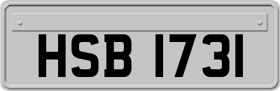 HSB1731