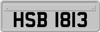 HSB1813