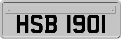 HSB1901