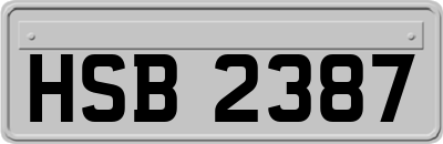 HSB2387
