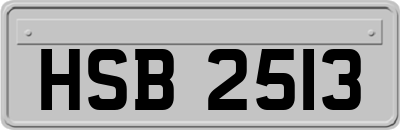 HSB2513