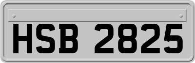 HSB2825