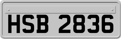 HSB2836