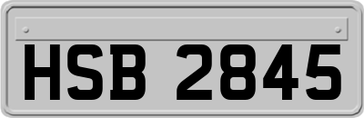 HSB2845