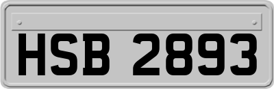 HSB2893