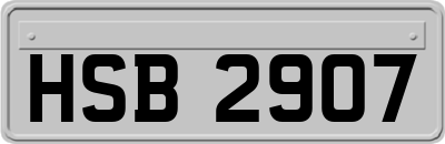 HSB2907
