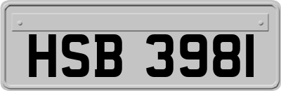 HSB3981