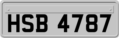 HSB4787
