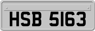 HSB5163