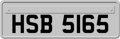 HSB5165