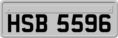 HSB5596