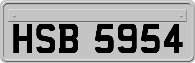 HSB5954