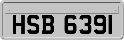 HSB6391