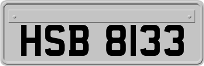 HSB8133