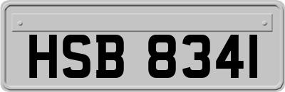 HSB8341