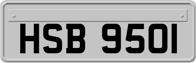 HSB9501