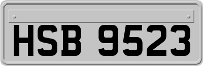 HSB9523