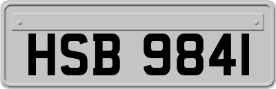 HSB9841