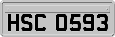 HSC0593