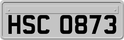HSC0873