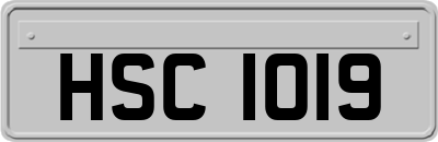 HSC1019