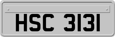 HSC3131