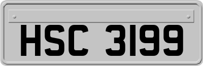 HSC3199