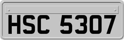 HSC5307