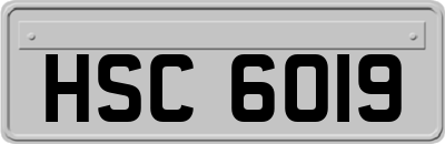 HSC6019