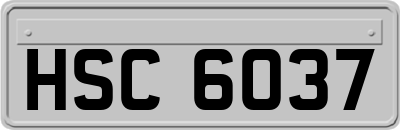 HSC6037