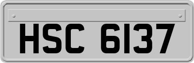 HSC6137