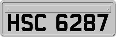 HSC6287