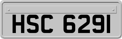 HSC6291