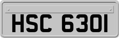 HSC6301