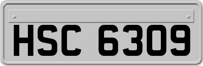 HSC6309