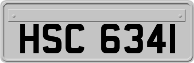 HSC6341