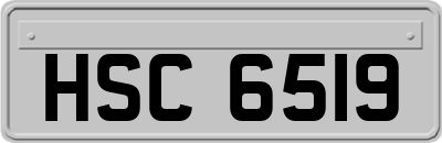 HSC6519