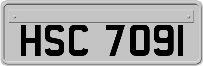HSC7091