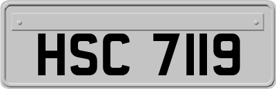HSC7119
