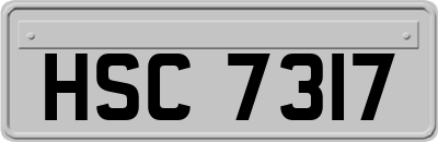 HSC7317