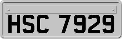 HSC7929