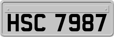 HSC7987
