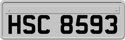 HSC8593