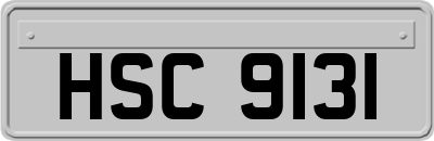 HSC9131