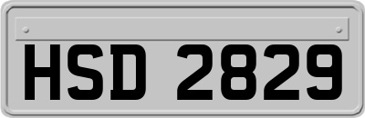 HSD2829