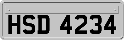 HSD4234