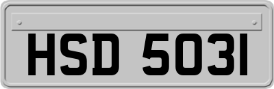 HSD5031